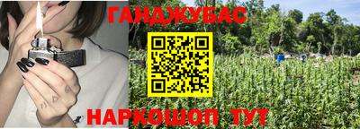 прущие грибы Будённовск