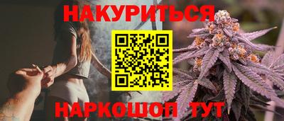 прущие грибы Будённовск