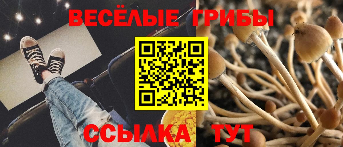 Мичуринск  Галлюциногенные грибы Psilocybine cubensis  Вход с VPN  Псилоцибиновые грибы мицелий 