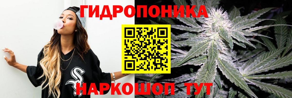 Канабис гибрид Мичуринск